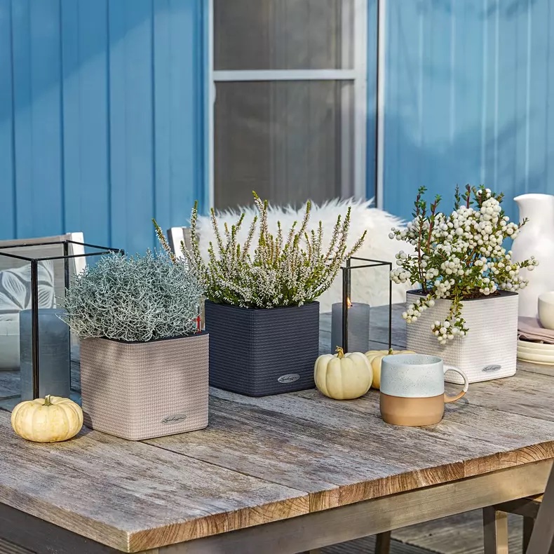 Lechuza  Cube Color 14 Indendørs Krukke Til Blomster Med Selvvandingssystem 13    Slate