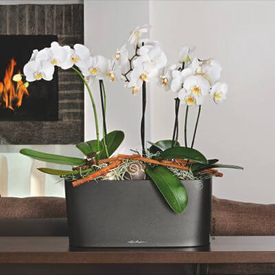 Lechuza  Delta 20 Indendørs Krukke Til Blomster Med Selvvandingssystem 18  Charcoal Metallic
