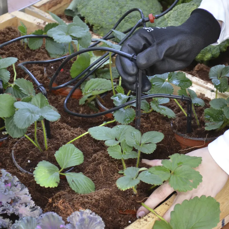 Palram Canopia Drypvandingssystem til Drivhus 540-070